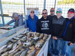 Six people fishing in Kingston