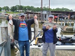 Three striped bass caught during fishing trip in OK