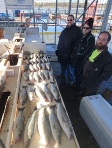 Three striped bass caught on a fishing trip in OK