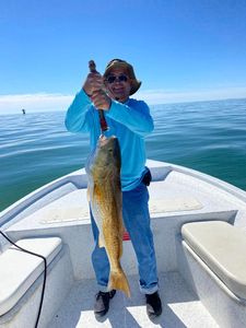 Gulf Shores, angler’s dream!