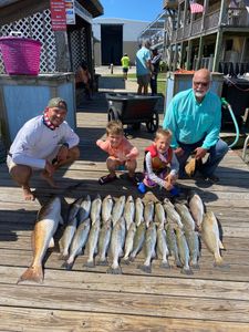 6 redfish and spotted weakfish caught while fishing in AL