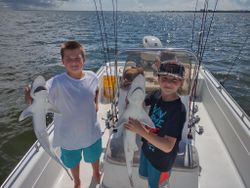 Two bonnethead sharks, a popular fishing catch, in AL location