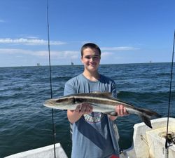Cobia fish caught in Gulf Shores