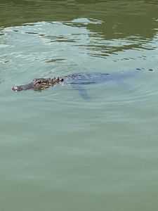 Fishing adventure in AL