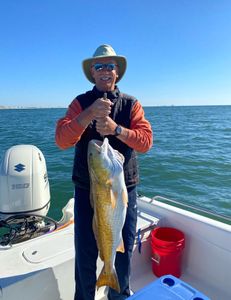 Angler catching a 28-inch fish in AL