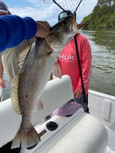 A lone fisherman reeling in a 49-inch catch in AL
