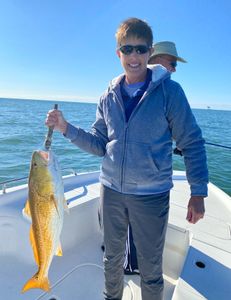 Redfish caught fishing in Alabama