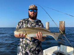 Redfish caught in Gulf Shores