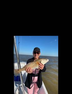 Redfish caught in Gulf Shores