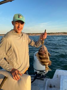 A fisherman holding a sheepshead fish in AL