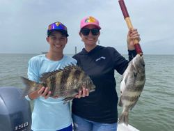 Two sheepshead fish caught in AL