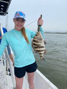 Sheepshead fish caught while fishing in Alabama