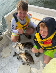 Two sheepshead fish caught while fishing in AL