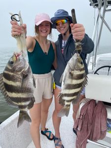 Two sheepshead fish caught in Alabama during fishing