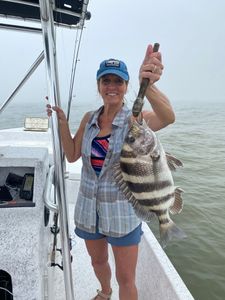 Sheepshead fish caught during fishing trip in Gulf Shores