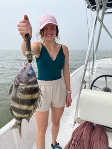 Sheepshead fish caught while fishing in Gulf Shores
