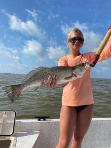 Spotted Weakfish, 28-inch fish caught while fishing in AL