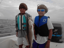 Spotted Weakfish, 23 inches, in Gulf Shores