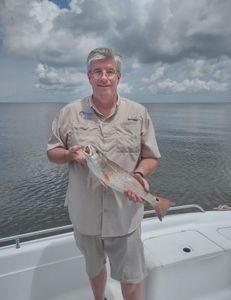 Angler fishing in AL