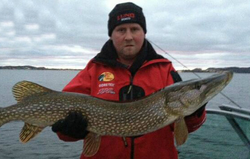 Northern Pike, 31 inch fish caught fishing in Muskegon