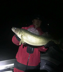 Walleye fish caught in Muskegon