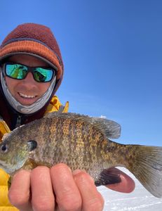 Ice Fishing ND