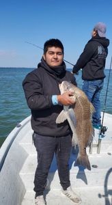 Laguna Madre's redfish in morning mist.