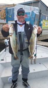 Seatrout leaping in Laguna Madre's currents