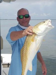 Corpus Christi Bay's redfish on the line