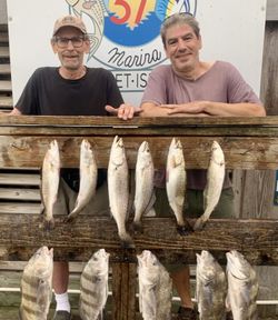 A group of 11 fish, including Great Barracuda and Spotted Weakfish, caught while fishing in Corpus Christi
