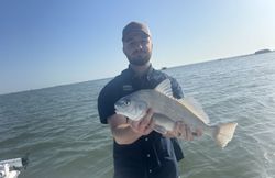 A fisherman holds a black drum fish in Corpus Christi