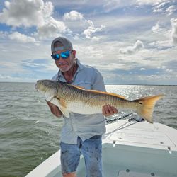 Redfish caught in TX