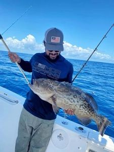 A gag grouper caught while fishing in Stuart, Florida