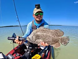 Tripletail fishing in FL