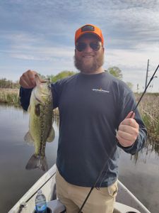 Fly Fishing in Michigan River