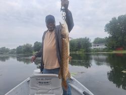 Chasing pike in Michigan’s rivers.