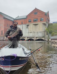 Salmon in Michigan