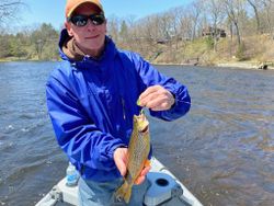 Michigan River Nice King Salmon