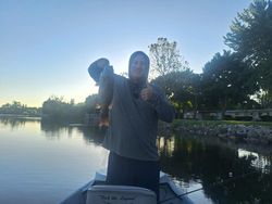 One person fishing in Alma