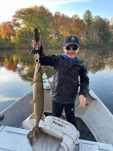 A person fishing in MI