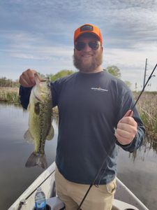 Largemouth Bass caught in MI