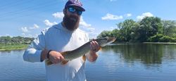 Fishing for Northern Pike in Alma