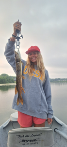 Beautiful Northern Pike caught fly fishing in Alma!