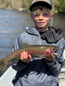 Rainbow Trout caught while fishing in MI