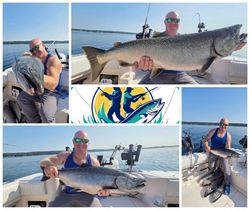 Three rainbow trout caught while fishing in MI