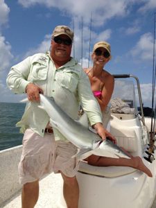 One Atlantic Sharpnose Shark, a 20-inch fish caught in TX