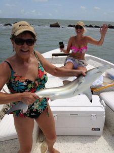 Bull shark caught fishing in TX