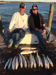4 fish caught in San Leon, fishing