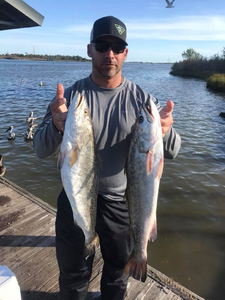 Two big fish caught while fishing in San Leon