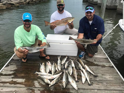 4 fish caught during a fishing trip in TX